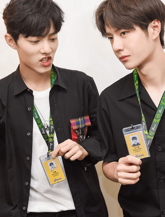 王中王一肖中特料，探尋背后的秘密與獨(dú)特之處，揭秘王中王一肖特料背后的獨(dú)特秘密