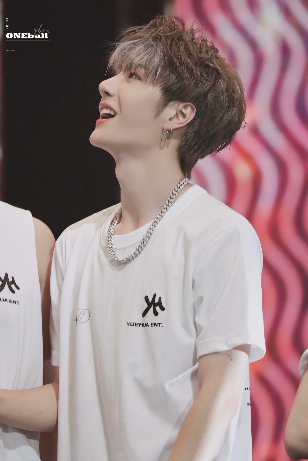 管家婆王中王一肖圖，揭秘背后的故事與神秘魅力，揭秘管家婆王中王一肖圖的神秘面紗與背后故事