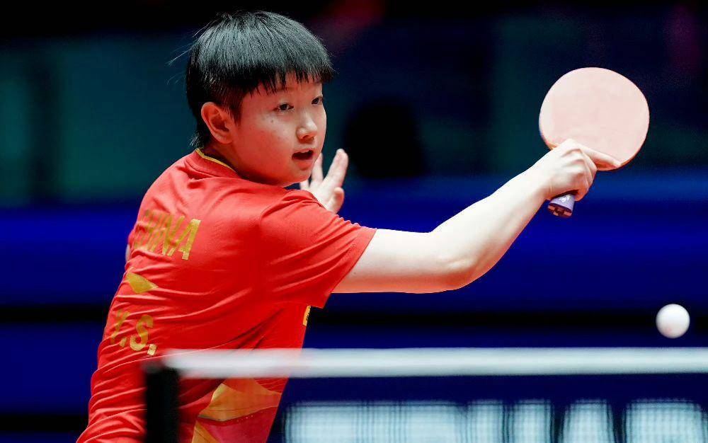 揭秘提升一肖一準(zhǔn)確率的策略與技巧，揭秘提升生肖預(yù)測(cè)準(zhǔn)確率的策略與技巧