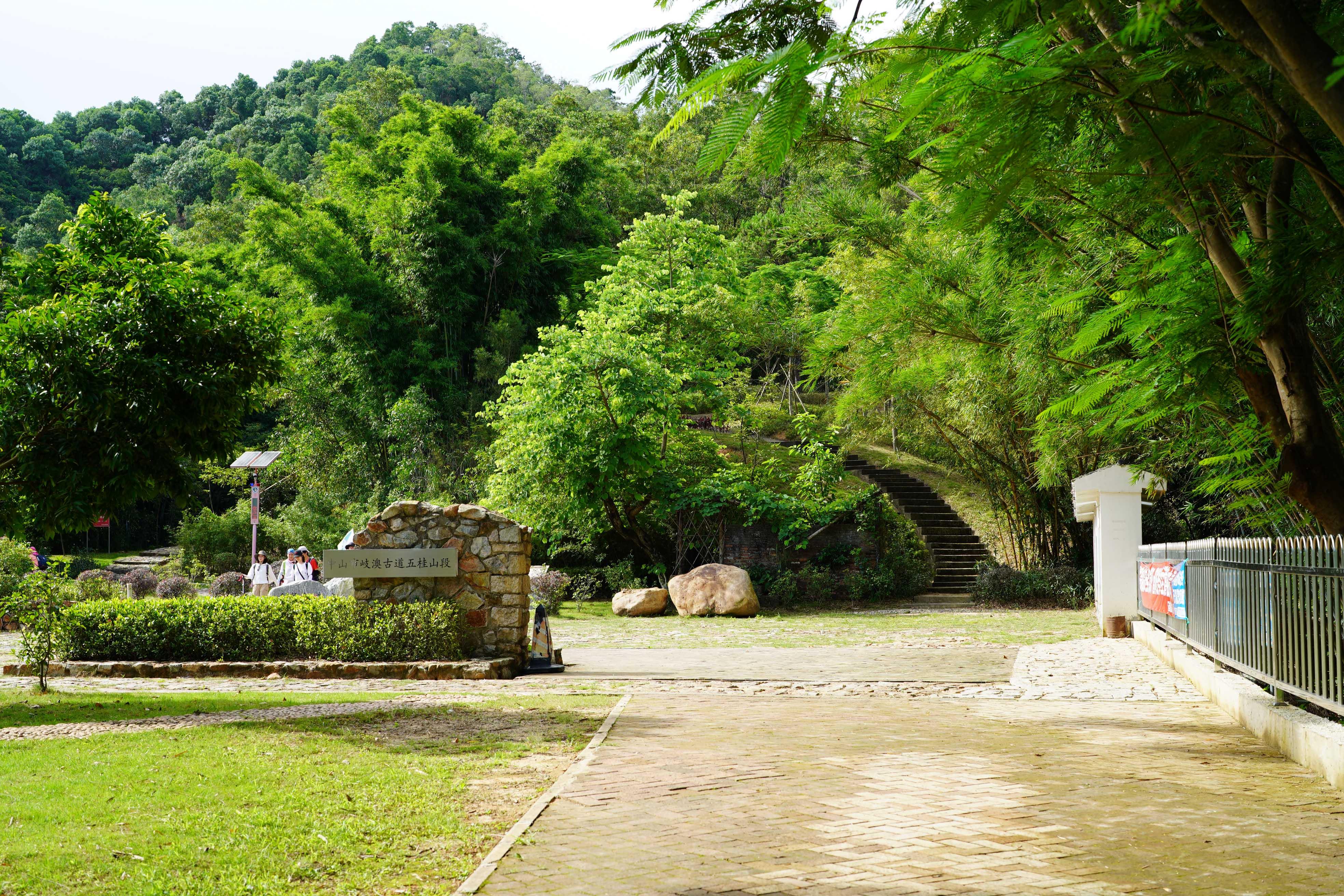 新奧門彩出號綜合走勢分析，新奧門彩出號綜合走勢解析