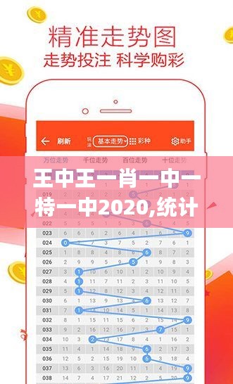 揭秘2020王中王一肖碼，全方位解讀與SEO優(yōu)化策略，揭秘王中王一肖碼，全方位解讀與SEO優(yōu)化策略指南