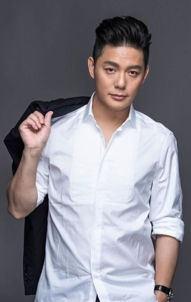 傅程鵬主演的電視劇大盤點，精彩紛呈的角色塑造與深度劇情解析，傅程鵬主演電視劇盤點，角色塑造精彩紛呈與深度劇情解析