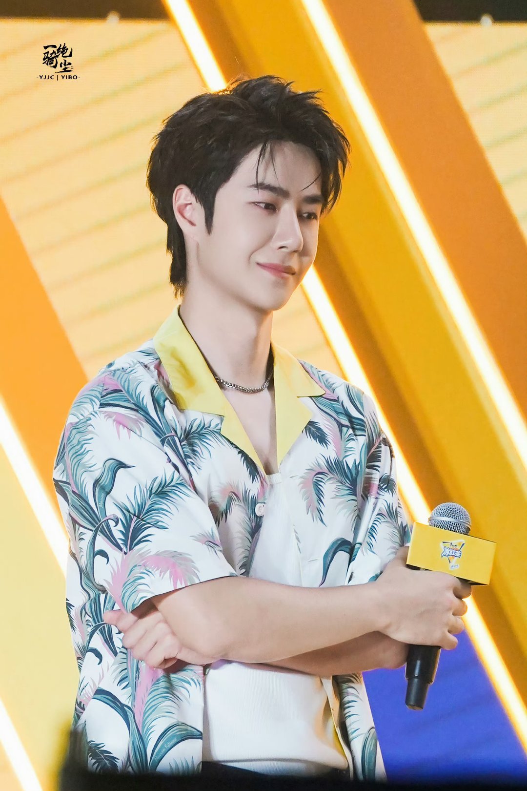 王中王一肖中特家婆，深度解讀背后的故事與奧秘，王中王一肖背后的故事與奧秘深度解讀