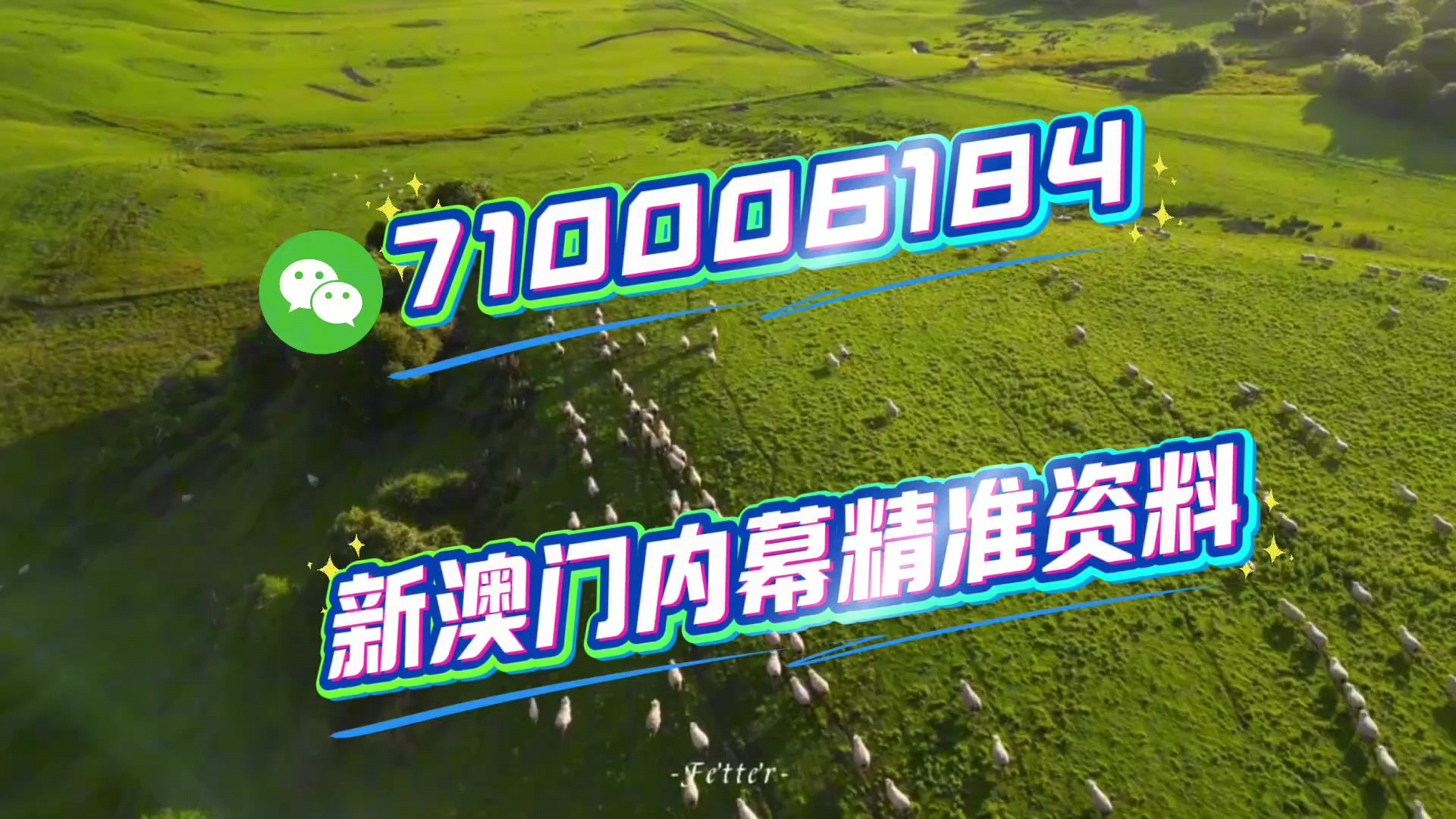 揭秘澳門(mén)今晚必開(kāi)生肖，預(yù)測(cè)與策略走向（2025年），澳門(mén)生肖預(yù)測(cè)揭秘，今晚必開(kāi)生肖與策略走向（2025年）