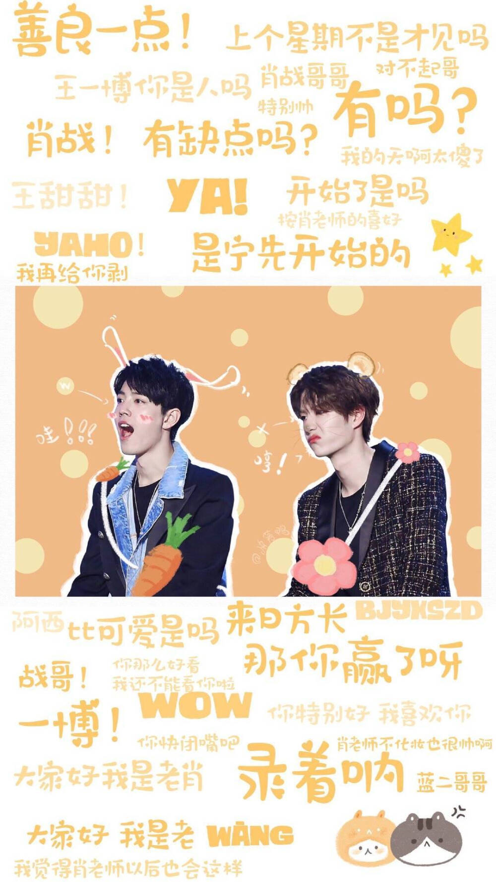 王中王一肖中特下，探尋背后的秘密與奧秘，探尋王中王一肖中特背后的秘密與奧秘