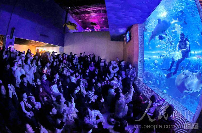 新澳2025今晚開獎結(jié)果，揭秘彩票背后的秘密與期待，揭秘新澳2025彩票開獎背后的秘密與期待，今晚開獎結(jié)果揭曉！