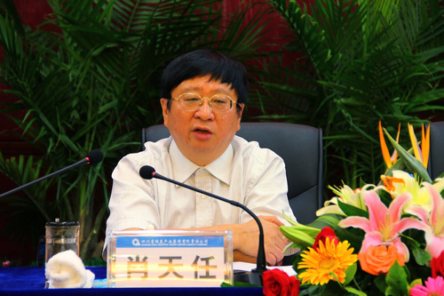 王中王資科一肖中持天，深度解析與SEO優(yōu)化策略，王中王資科一肖中持天深度解析與SEO優(yōu)化策略探討