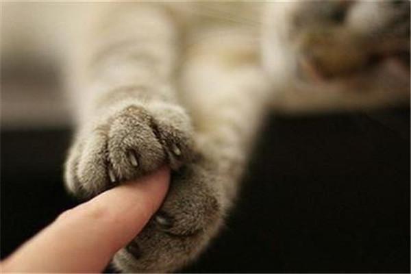 腦萎縮最佳治療方法，探索與理解，腦萎縮最佳治療方法，探索、理解與應(yīng)對