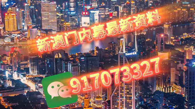 澳門今晚必開一肖——揭秘生肖彩票的魅力與策略，澳門生肖彩票揭秘，策略與魅力探索