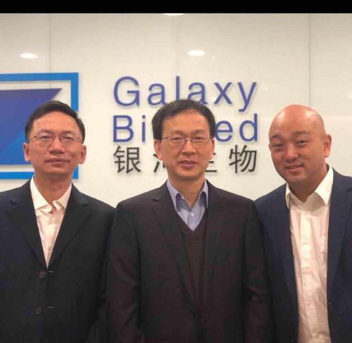 關(guān)于代碼000806的奧秘，深度解析與SEO優(yōu)化策略，代碼000806奧秘揭秘，深度解析與SEO優(yōu)化策略探討