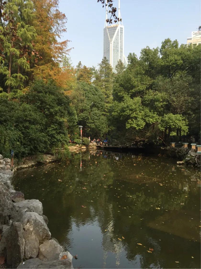 上海36個(gè)免費(fèi)公園一覽，上海免費(fèi)公園全景導(dǎo)覽，36個(gè)公園一覽無(wú)余