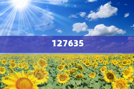 7777788888精準(zhǔn)新傳真，掌握核心策略，提升SEO效果，掌握精準(zhǔn)新傳真核心策略，提升SEO效果