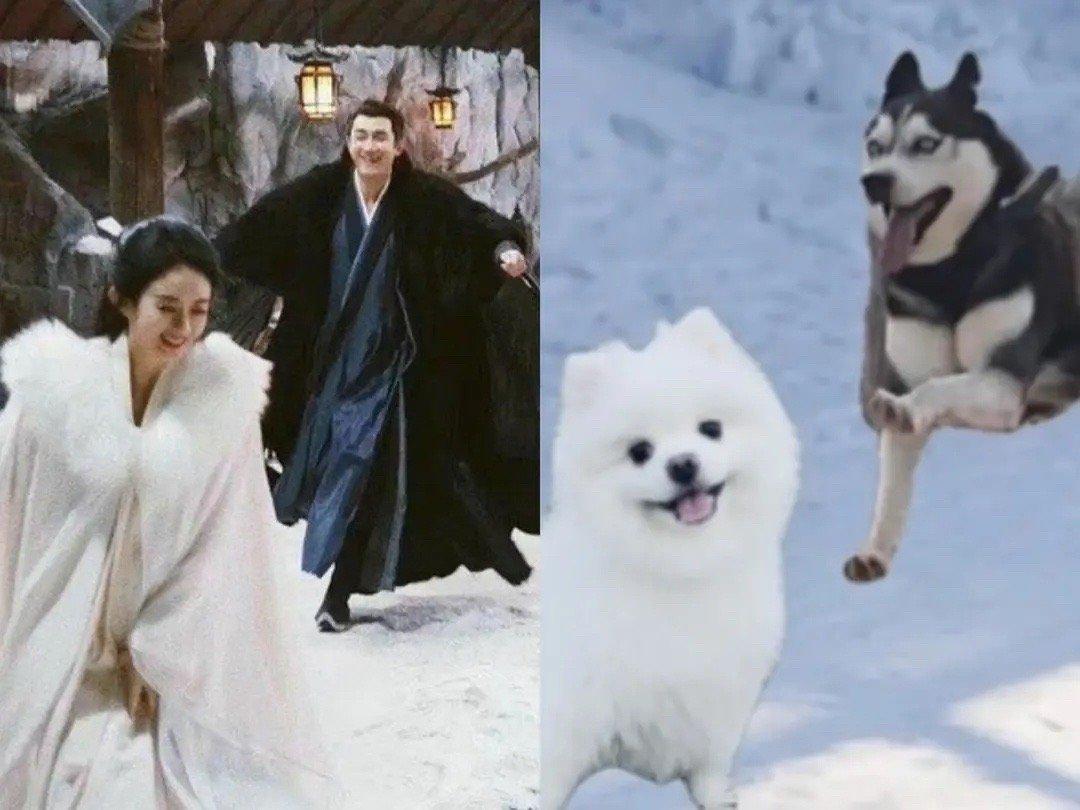 林更新趙麗穎，星光熠熠，共譜影視傳奇，林更新趙麗穎，星光熠熠，影視傳奇之戀