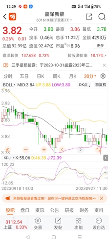 嘉澤新能源股票，投資前景深度解析，嘉澤新能源股票投資前景深度解析
