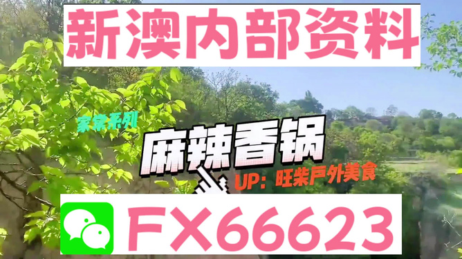 新澳精準(zhǔn)資料免費(fèi)提供，探索與實踐的指南，新澳精準(zhǔn)資料免費(fèi)分享，探索與實踐的導(dǎo)航指南