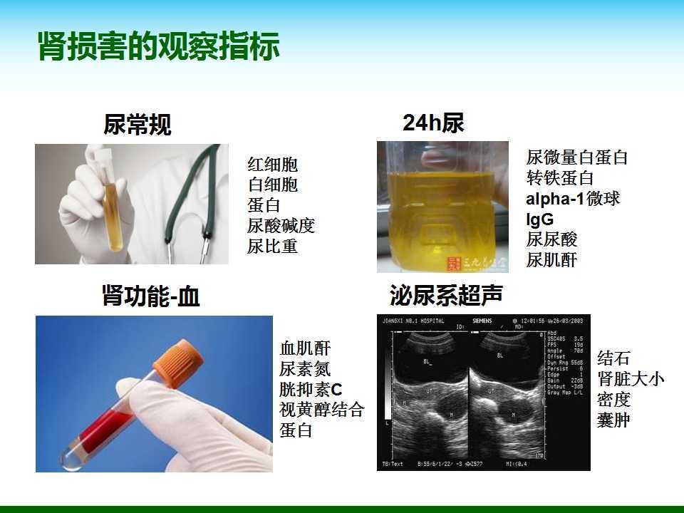 尿酸水平升高與腎臟健康，尿酸460是否意味著腎臟已經(jīng)受損？，尿酸水平升高與腎臟健康關(guān)系解析，尿酸460是否預(yù)示腎臟受損？
