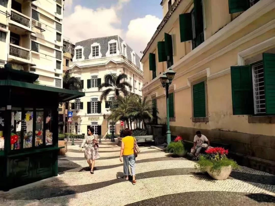 澳門二肖，探索與揭秘，澳門二肖，探索之旅與神秘揭秘