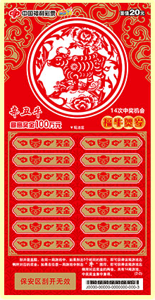 揭秘2020王中王平特一肖的神秘面紗，揭秘王中王平特一肖，神秘面紗下的真相