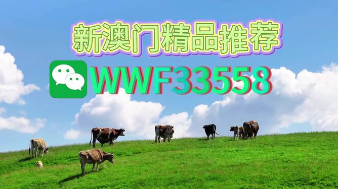 揭秘今晚9點30生肖運勢，你的生肖運勢如何？，揭秘今晚9點30生肖運勢，你的生肖運勢走向如何？