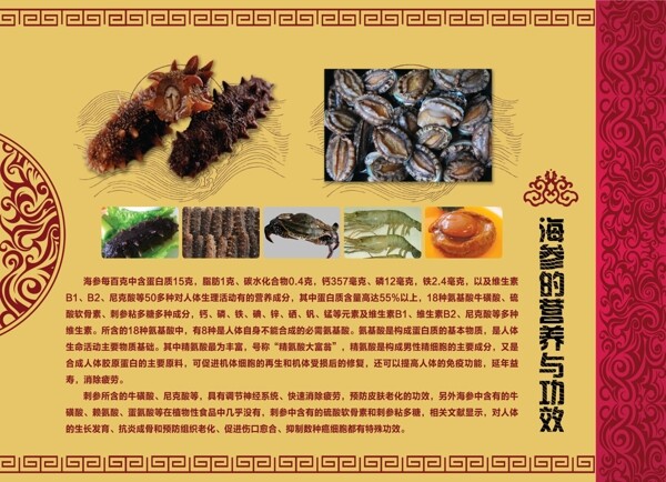 海參的功效，海洋之寶賦予的強大能量，海參的神奇功效，海洋之寶帶來的強大能量