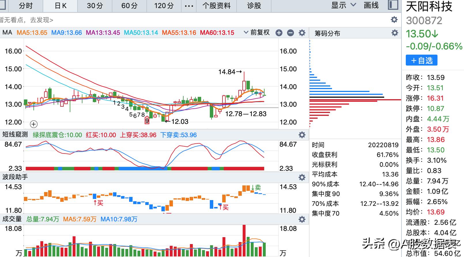 天陽科技股票，探索前沿科技，洞悉投資機遇，天陽科技股票，探索前沿科技，把握投資機遇