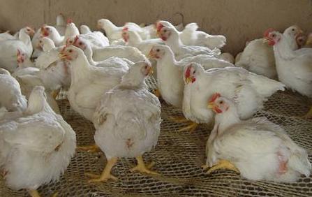 關(guān)于股票代碼002299的深入解析與前景展望，股票代碼002299深度解析與未來(lái)前景展望