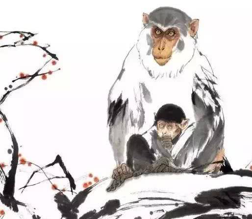 準(zhǔn)確率奧秘