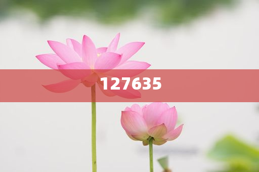 探索全新精準(zhǔn)傳真服務(wù)，7777788888新精準(zhǔn)傳真解析，全新精準(zhǔn)傳真服務(wù)解析，7777788888傳真新體驗