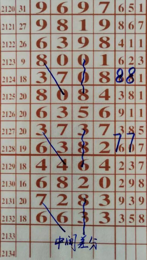 79期王中王三肖一碼，深度解析與SEO優(yōu)化策略，79期王中王三肖一碼深度解析與SEO策略全解析