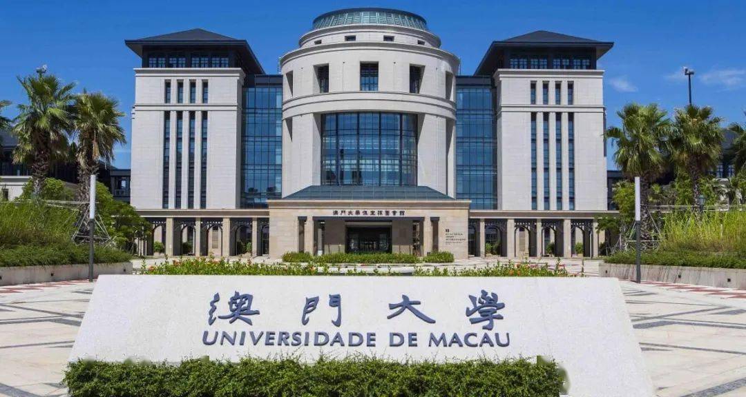 澳門一碼一肖一特一中，揭秘背后的秘密與預(yù)測藝術(shù)，澳門一碼一肖一特一中，揭秘背后的秘密與預(yù)測藝術(shù)探索