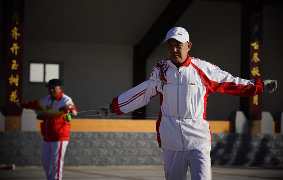 劉伯溫四不像正版一肖，揭秘神秘預(yù)測(cè)背后的故事，劉伯溫四不像正版一肖揭秘，神秘預(yù)測(cè)背后的真相探秘