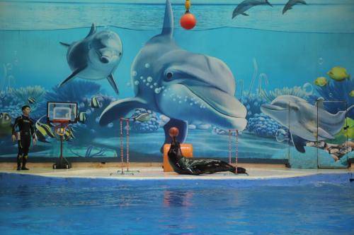 南京海底世界游玩攻略，探索奇妙海洋，了解逛完所需時(shí)間，南京海底世界游玩攻略，探索奇妙海洋之旅及所需時(shí)間揭秘