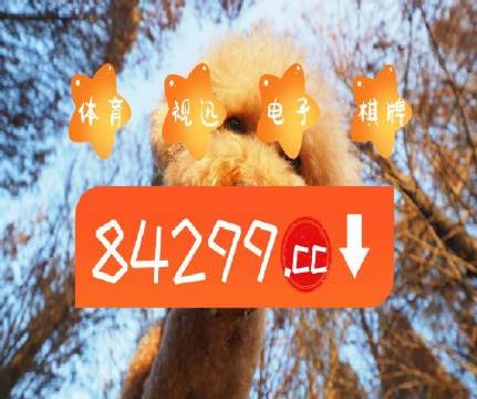 澳門天天開彩大全免費——彩票愛好者的福音，澳門天天開彩大全免費，彩票愛好者的福音資訊