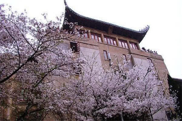 武漢景點排名，探尋歷史文化名城的不朽魅力，武漢景點排名揭秘，歷史文化名城的魅力之旅