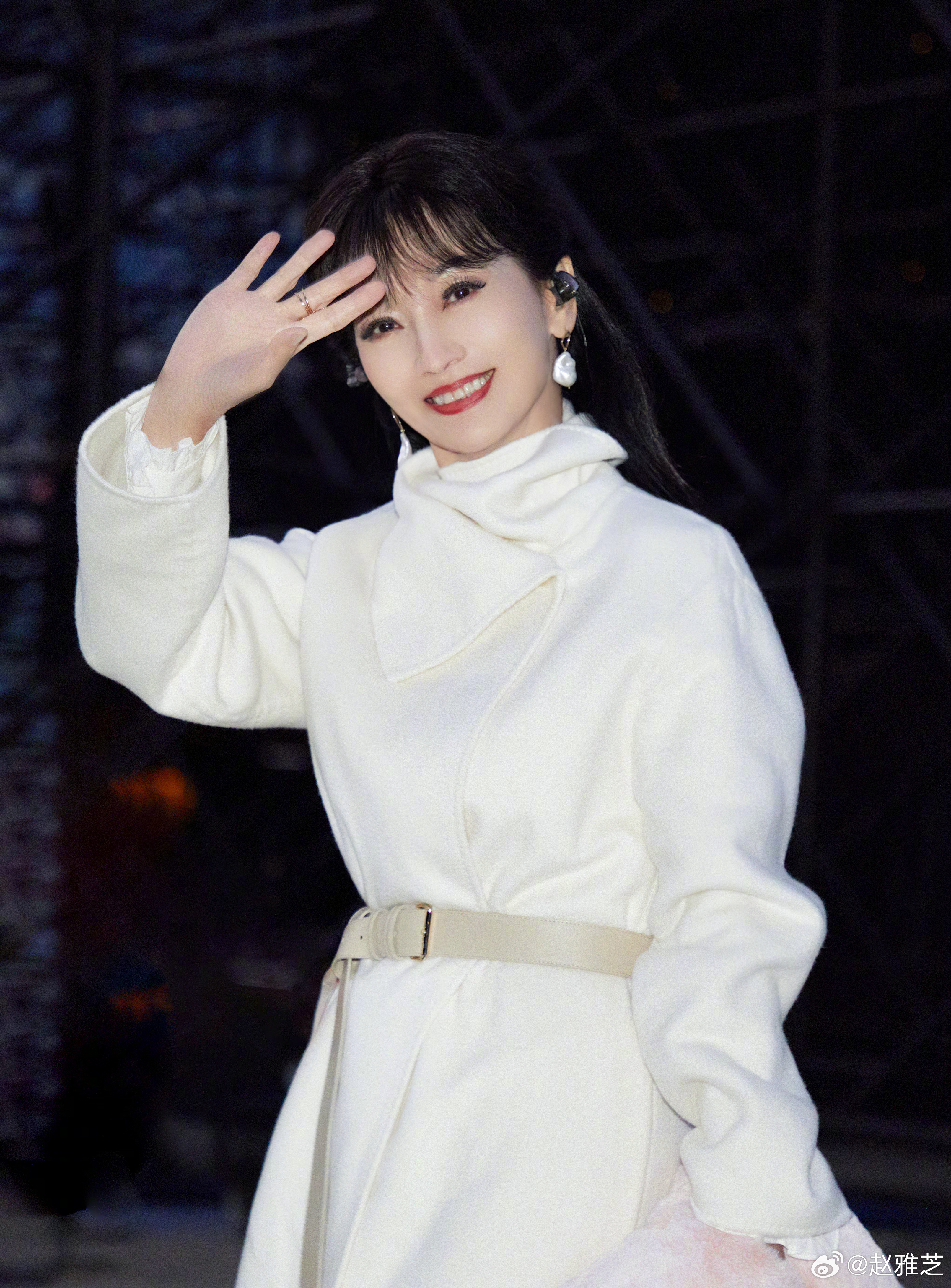 演員趙雅芝個人資料，歲月不敗的美人傳奇，趙雅芝，歲月不敗的美人傳奇人生