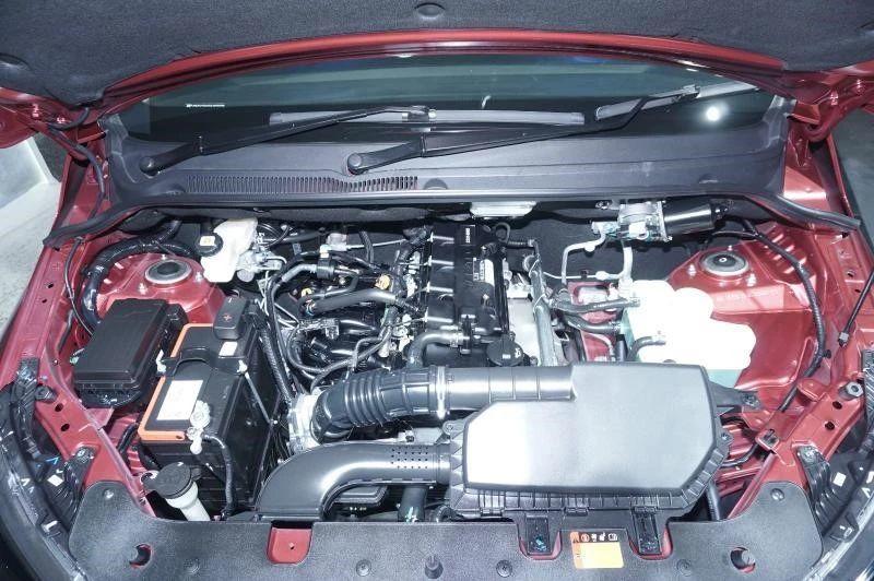 揭秘2021王中王資料一肖，全方位解讀，洞悉其獨(dú)特魅力，揭秘2021王中王資料一肖，全方位解讀獨(dú)特魅力，洞悉真相