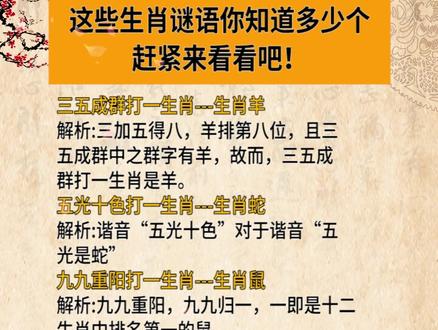 謎語王中王打一生肖——揭秘背后的神秘故事與生肖之謎，揭秘生肖之謎，謎語王中王背后的神秘故事與生肖解密