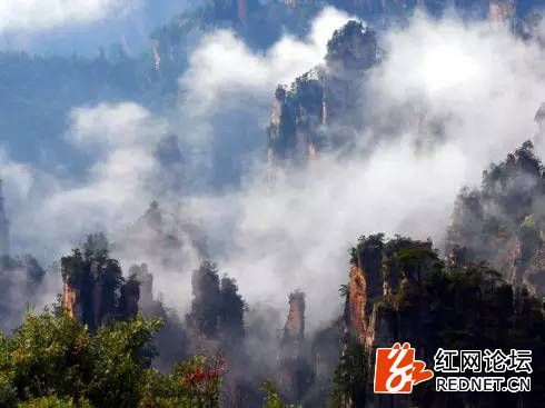 張家界旅游咨詢電話——您的旅游首選咨詢伙伴，張家界旅游咨詢電話，首選咨詢伙伴，啟程美好旅程