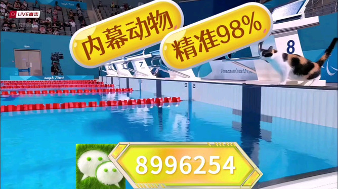 揭秘彩票奧秘，探索澳門王中王彩票期期中的秘密與策略，展望2025年彩票新紀(jì)元，揭秘彩票奧秘，澳門王中王彩票策略與秘密，展望2025彩票新紀(jì)元探索