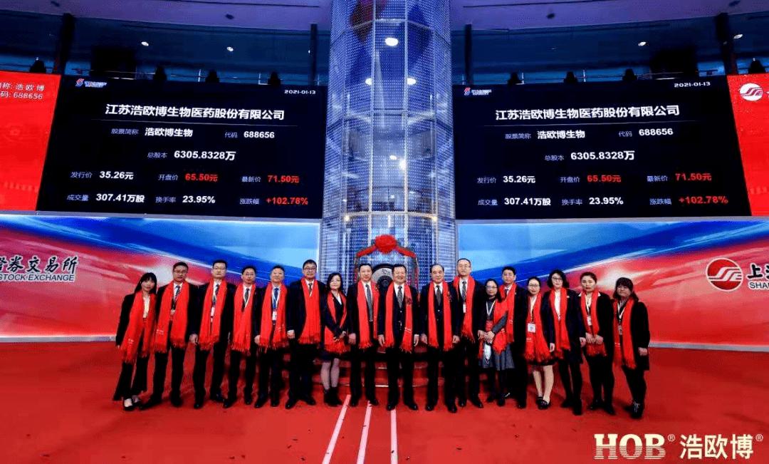 醫(yī)藥板塊各龍頭股一覽表——深度解析與前景展望，醫(yī)藥板塊龍頭股深度解析與前景展望，一覽表揭秘未來發(fā)展?jié)摿? class=