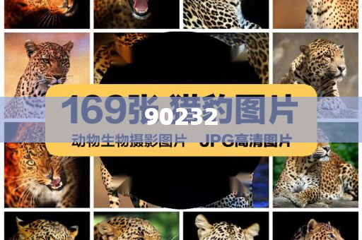 2025新澳天天開好彩大全第78期精彩回顧與前瞻，新澳天天開第78期精彩回顧與前瞻，展望未來的彩票之旅