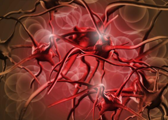 高血脂的五個表現(xiàn)癥狀及其重要性，了解、預(yù)防與治療，高血脂的五大表現(xiàn)癥狀，認(rèn)識、預(yù)防與治療的重要性