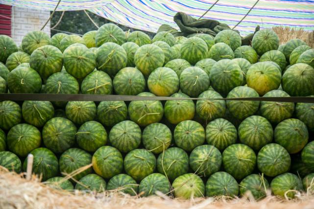 澳門一碼一肖預(yù)測(cè)