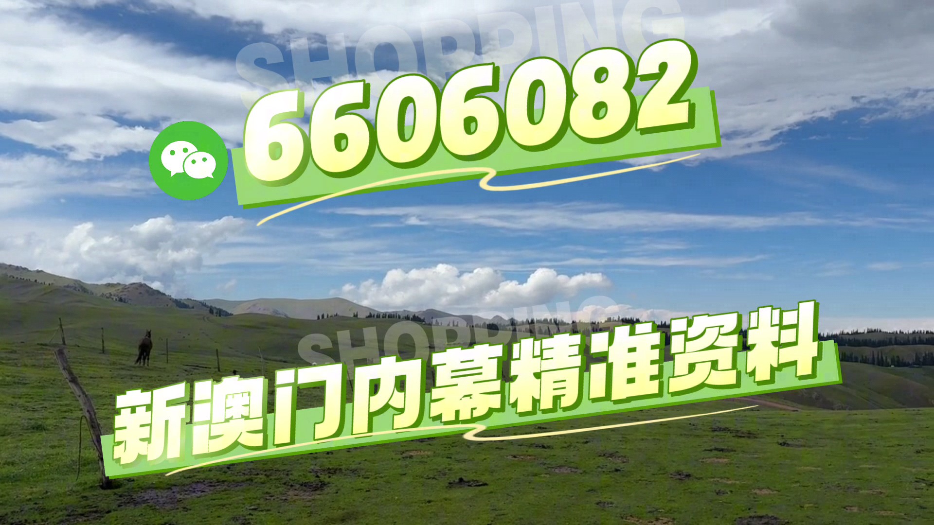 澳門必開一肖二碼，揭秘背后的秘密與策略，澳門必開一肖二碼揭秘，背后的秘密策略與預(yù)測技巧
