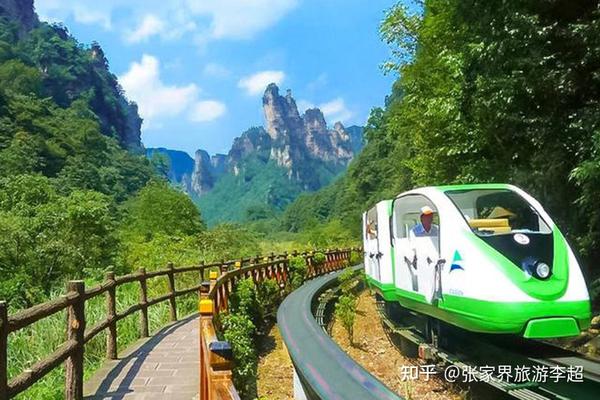 張家界森林公園一日游攻略，探索自然之美的完美行程，張家界森林公園一日游攻略，自然之美的完美探索之旅