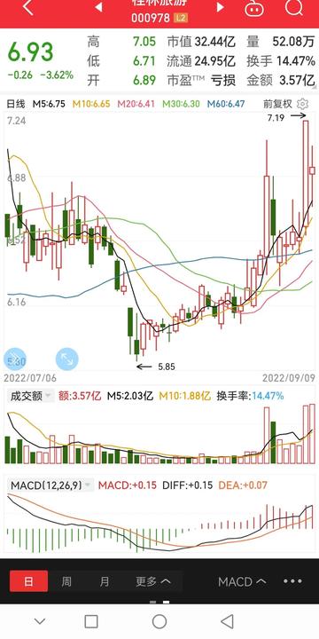 桂林旅游股票，投資前景與市場潛力分析，桂林旅游股票投資前景與市場潛力深度解析