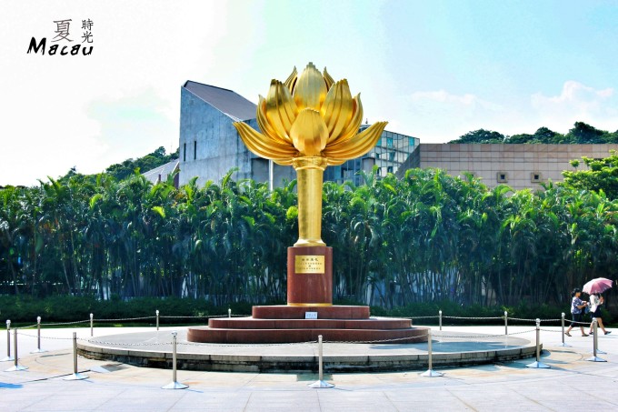 澳門六門彩網(wǎng)金牛版，探索與體驗，澳門六門彩網(wǎng)金牛版，探索與體驗之旅