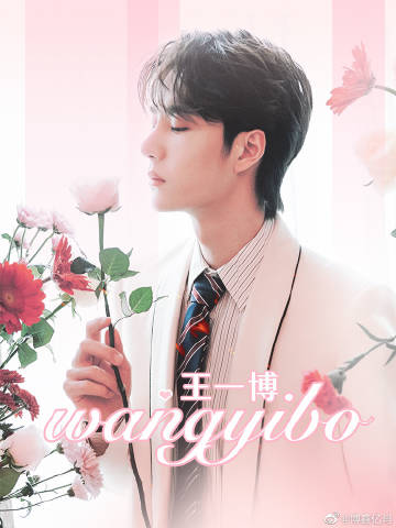 王中王一肖準(zhǔn)特資料，深度解析與SEO優(yōu)化文章，王中王一肖準(zhǔn)特資料深度解析與SEO優(yōu)化指南