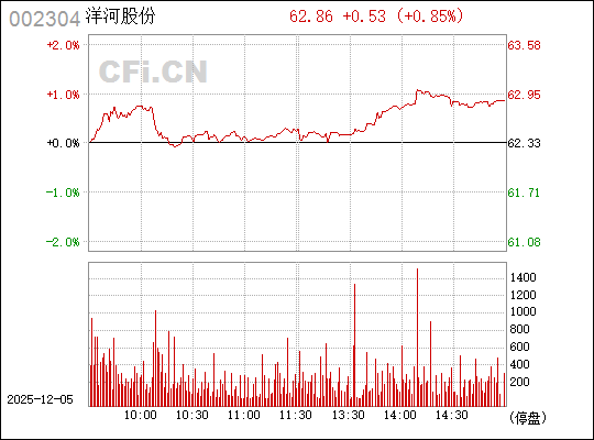 股票002304，深度解析與投資策略，股票002304深度解析與實戰(zhàn)投資策略探討