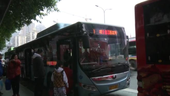 一肖買什么——揭秘最佳選擇與策略，揭秘生肖彩票最佳選擇與策略，一肖買什么？